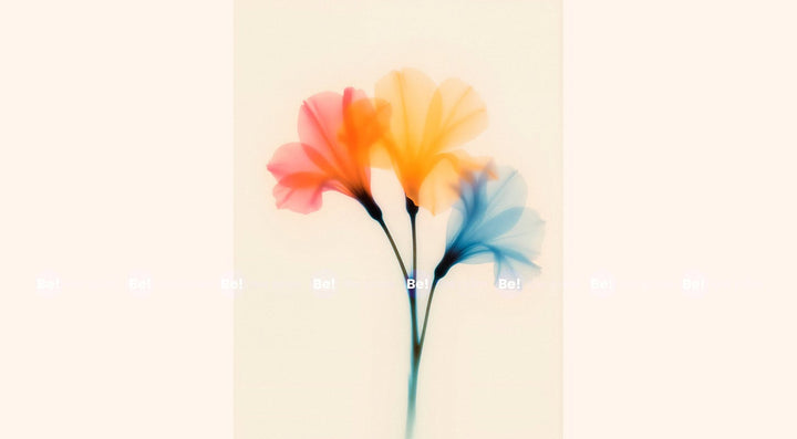 Soft Harmony-FLR-FA-020